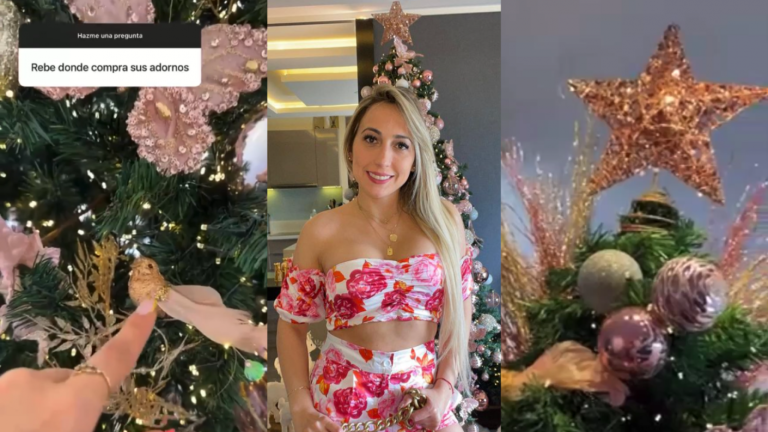 ¡Con 7 mil 500 luces! Rebeca Naranjo la rompió con su árbol de navidad junto a Nano Calderón