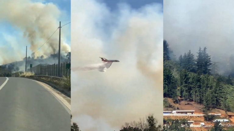 Los impactantes videos del incendio forestal que obligó a decretar alerta roja en Viña y Concón