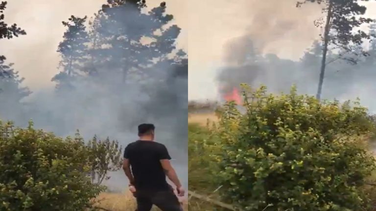 Alerta roja en Valparaíso por incendio forestal: Solicitaron evacuar sectores de El Palomar y Las Tórtolas