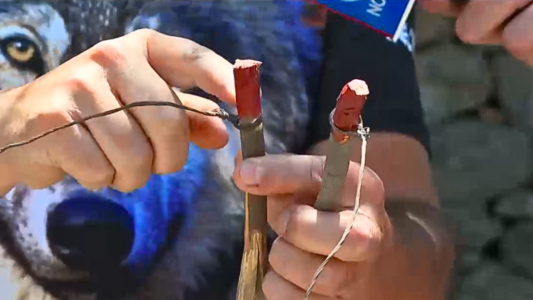 Descubren trampas ilegales en pleno cerro de Peñalolén: Estaban instaladas a metros de viviendas