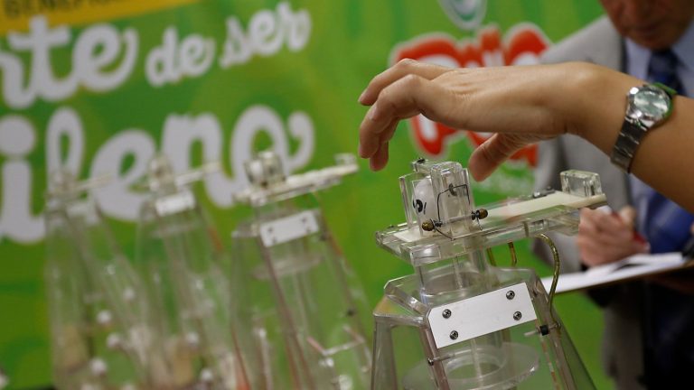 La Suerte en Chile repartirá $5 millones: ¿Cuándo es el próximo sorteo de La Suerte de ser Chileno?