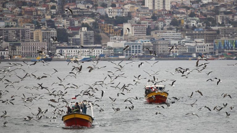 Año Nuevo: ¿Dónde celebrar la cena en Valparaíso?