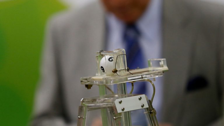 La Suerte en Chile definió a sus últimos ganadores: Revisa acá con tu RUT si obtuviste el premio de $5 millones