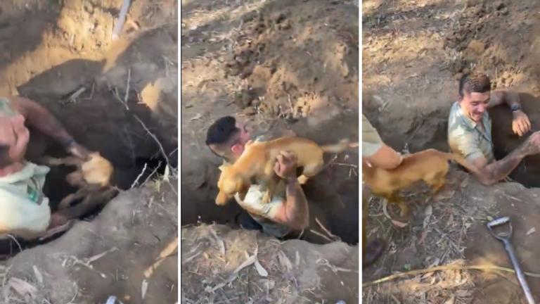 Carabineros rescató a perrito tras 12 horas atrapado en una cueva