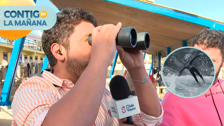 “¡Cuidado con la ola!”: Gino Costa revisó los mejores chascarros playeros