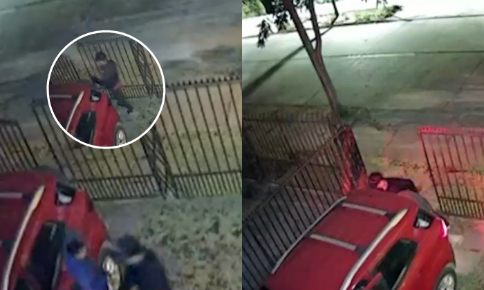 Delincuentes robaron casa en 10 minutos en Ñuñoa: Perro lo alertó y víctima fue encerrada
