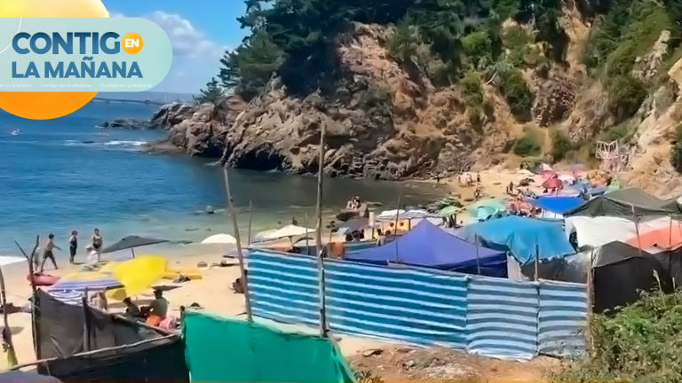 Denuncian “condominio de carpas” en playa de Ramuntcho en Hualpén