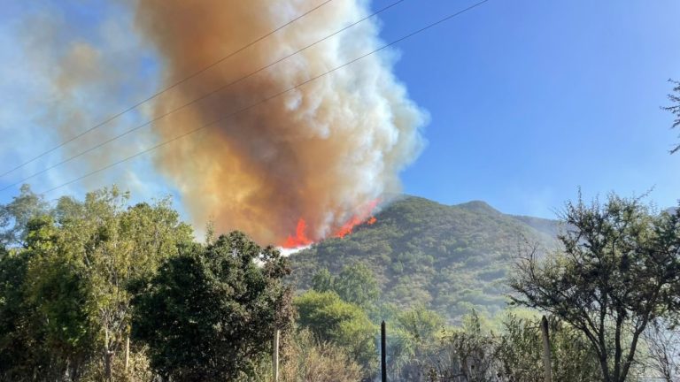 Ha consumido 20 hectáreas: Alerta roja en Melipilla por incendio forestal que podría alcanzar viviendas
