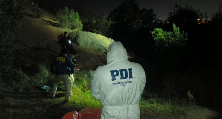 Delincuente murió apuñalado en Viña: Víctima se defendió con arma cortante