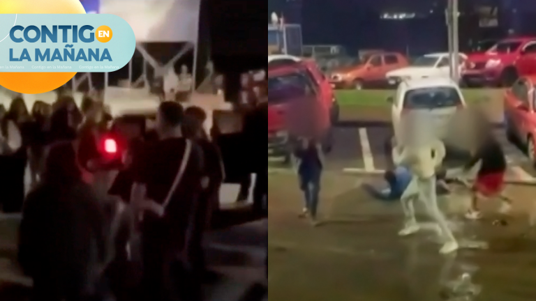 Playas en alerta: Denuncian peleas y venta de drogas en balnearios de Puerto Montt