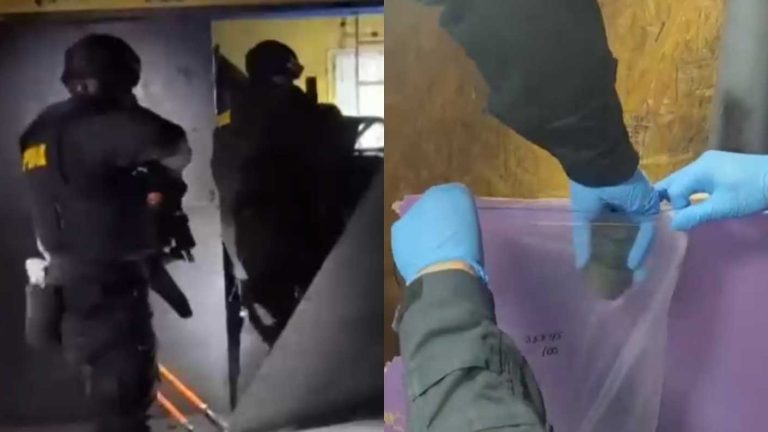 Tenían hasta granadas: Desbaratan banda narco en la RM y detenidos eran de clan familiar