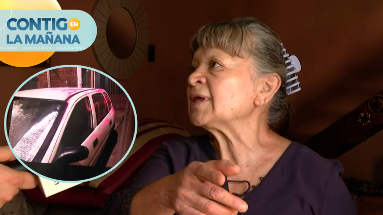 “Me rayaron el auto”: Habla vecina acusada por comportamientos violentos en Puente Alto