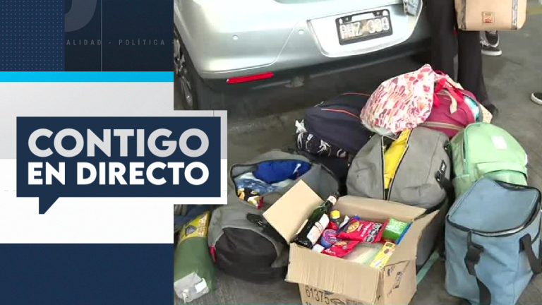 Fiscalización del SAG en paso fronterizo Los Libertadores: ¿Qué está prohibido ingresar al país?