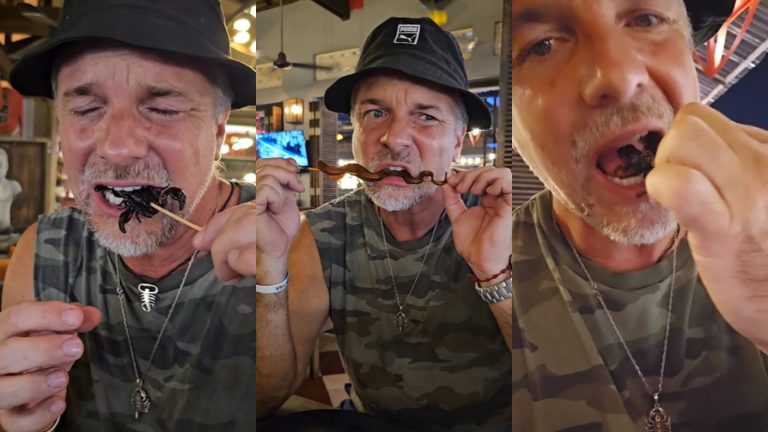 ¡De escorpión a serpientes! Bernardo Borgeat y Carmen Gloria Arroyo probaron exóticas comidas en Camboya