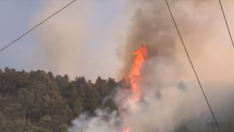 30 focos de incendios forestales: Colombia pide ayuda a la ONU y activó protocolo de desastre natural