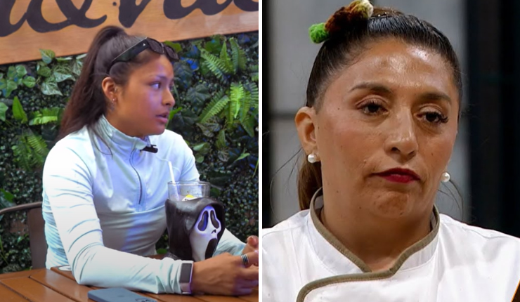 El crudo análisis de Viviana Acevedo por Pincoya: 