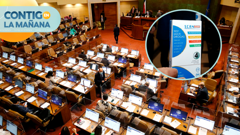 Diputada Paula Labra presentó proyecto para que autoridades de Gobierno se sometan a test de drogas