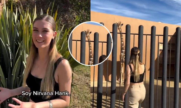 Nirvana Hank, la influencer mexicana blanco de críticas por tener una jirafa en su casa