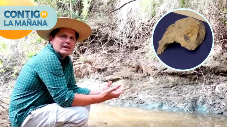 ¡Insólito! Encontraron fósiles de dinosaurios y hoy son imputados por intervenir sitio arqueológico