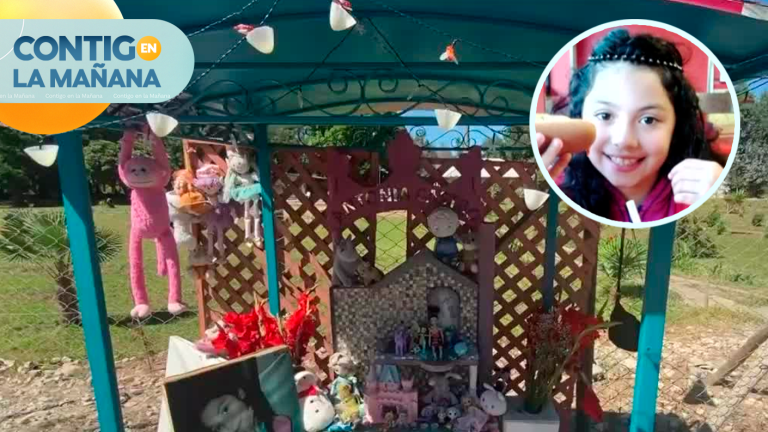 Vecina exigió el retiro: Familia denuncia hostigamiento para retirar animita de niña