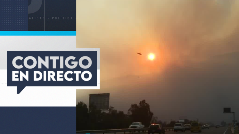 Incendio forestal afecta a la comuna de San Pedro con peligro de propagación a casas