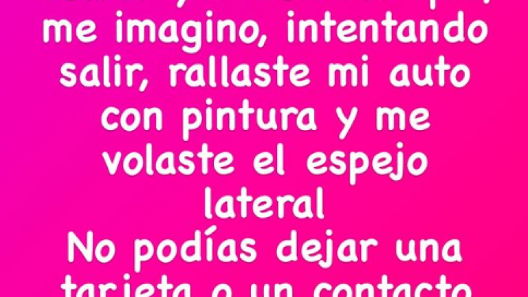 Fran García-Huidobro furiosa tras incidente automovilístico en estacionamiento