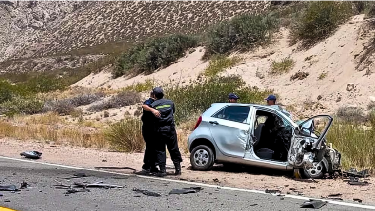 Fatal accidente: Chilenas murieron tras colisionar con un camión en Mendoza
