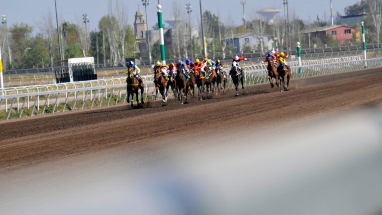 Escándalo en el Club Hípico: Suplantación de animales involucraría a yegua de Kike Morandé