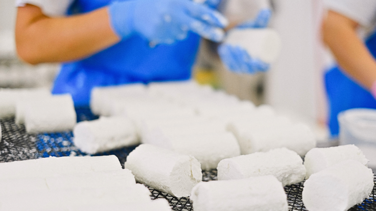 Brote de salmonella en queso de cabra dejó más de 66 personas intoxicadas