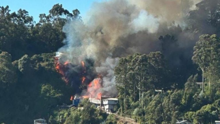 Incendio destruye 3 viviendas en Tomé: Propagación del fuego causó un incendio forestal