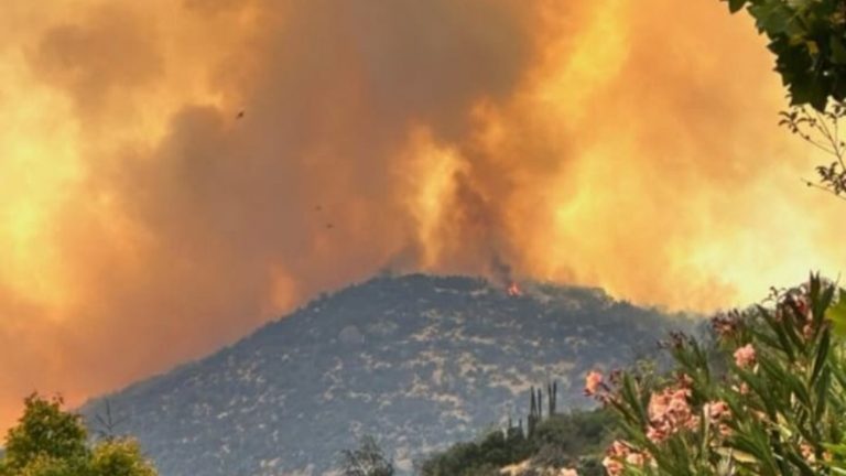 Incendio forestal afectó límite entre Lo Barnechea y Colina: 900 héctareas han sido afectadas