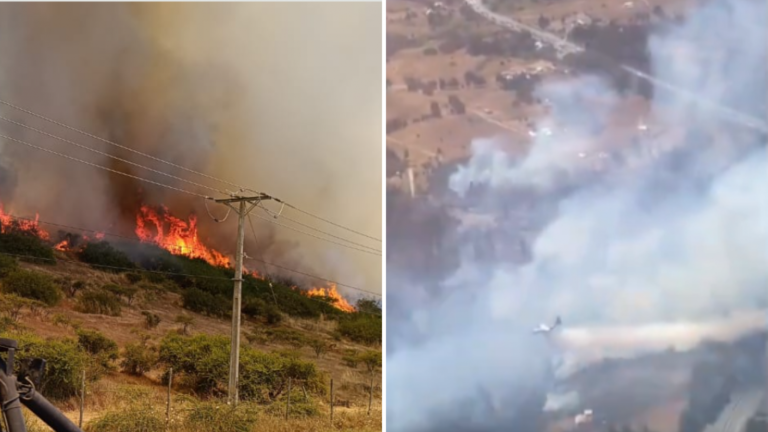 Senapred decretó alerta roja por incendio forestal en las regiones de Biobío y O'higgins