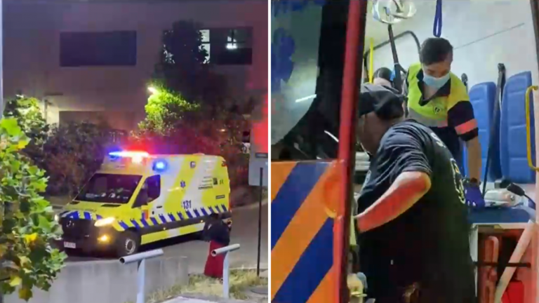 Brigadista de Conaf resultó gravemente herido tras combatir incendio forestal en Los Alamos