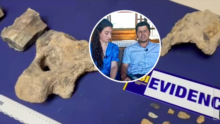 Hablan los imputados por hallazgo de fósiles en el Maule: 