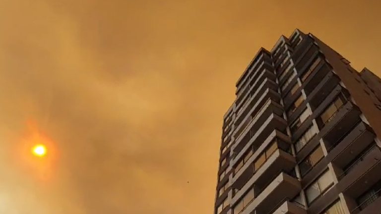 VIDEO | Impresionante nube de humo cubrió el cielo de Viña del Mar tras incendio forestal