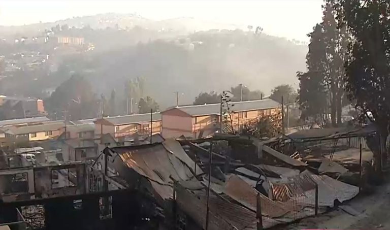 Desolador panorama: Así despertó El Olivar por el paso del voraz incendio forestal