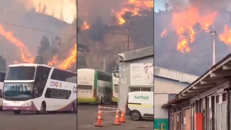 Fuego acecha a taller de buses en Viña del Mar durante incendio forestal