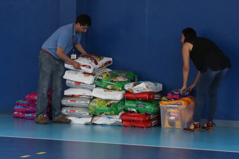 Centros de acopio por incendios forestales en Chile: ¿Dónde están y qué se puede llevar?