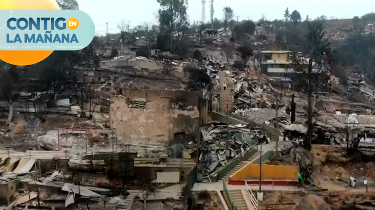 Destrucción en segundos: La historia del campamento que desapareció tras incendio en Viña del Mar