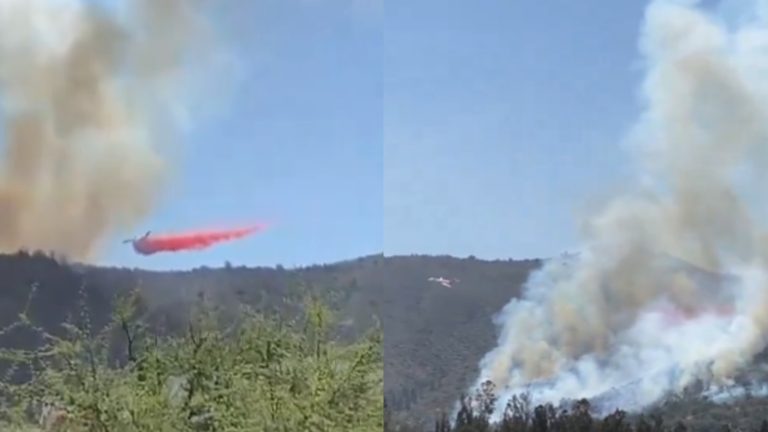 Con Aero Tanker incluido: Así combate bomberos incendio forestal en Casablanca