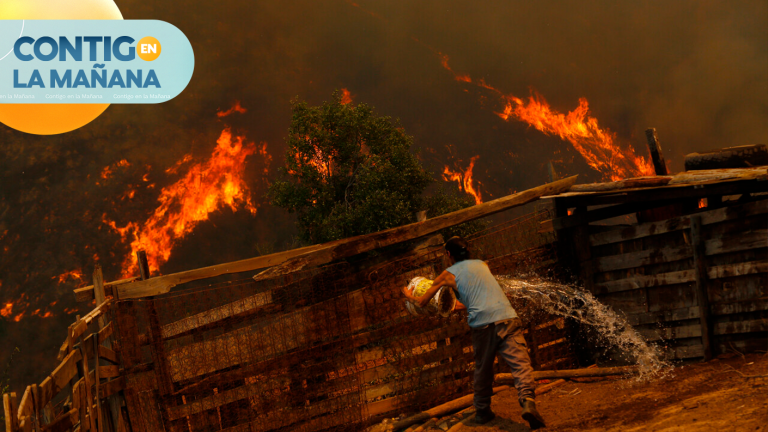 Municipio de Viña del Mar no tenía vigente Plan de Emergencia ni de Evacuación de incendios