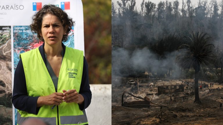 Gobierno detalla medidas de reconstrucción de Jardín Botánico: Podría reabrir en abril de este año