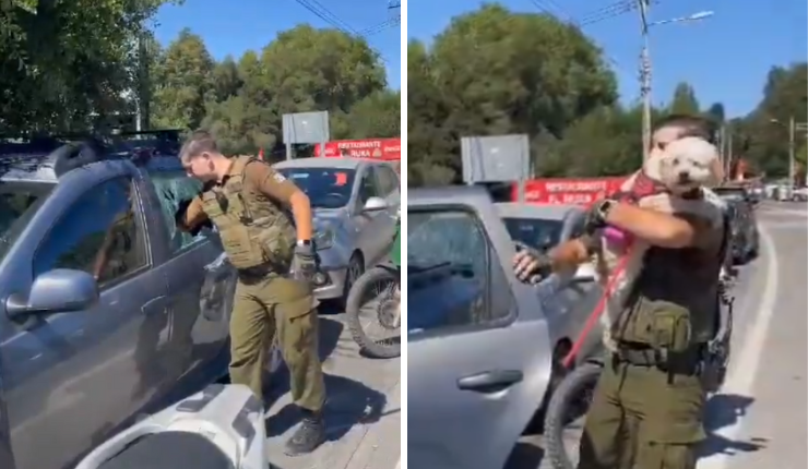 ¡A pleno sol! Carabinero rescató a perrito encerrado en auto y detuvo a su dueño