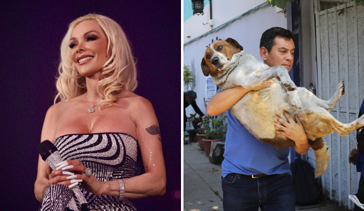 Marisela donó 8 toneladas de comida para mascotas afectadas por incendios: 