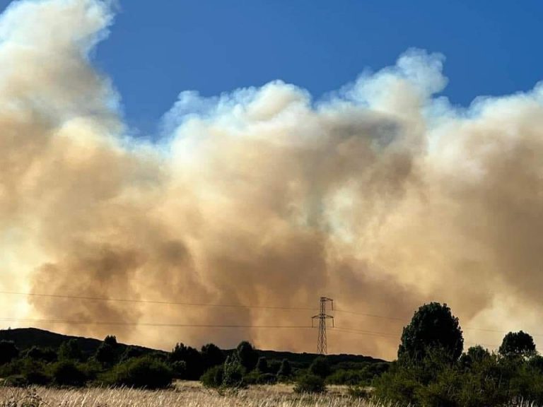Alerta Roja en Purén y Victoria por incendios forestales en región de La Araucanía