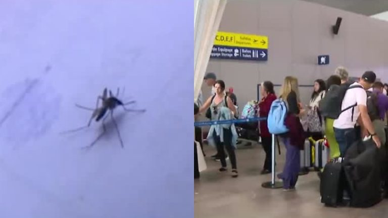 Chile registró primer caso de dengue importado por viajero proveniente de Brasil