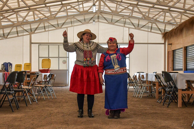 Con inteligencia artificial: Chileno desarrolló primer traductor online de mapudungun y creole