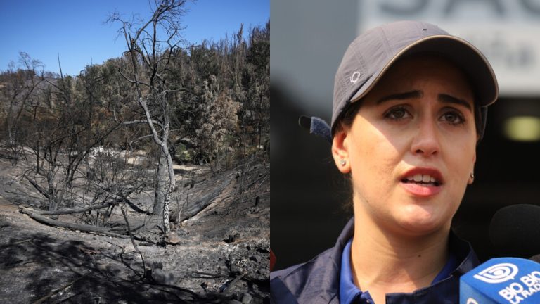 Familiares de fallecidos en Jardín Botánico anuncian querella contra alcaldesa Ripamonti