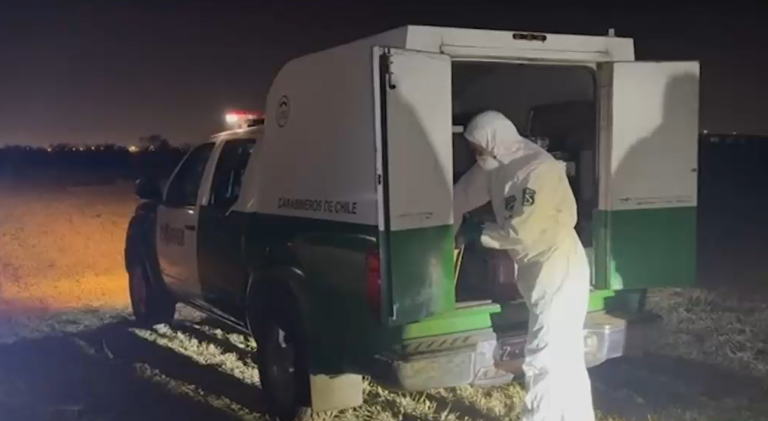 Indagan hallazgo de restos humanos en parcela abandonada de Padre Hurtado: Tatuaje sería clave para su identidad