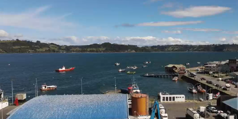 Asaltan camiones y centros de cultivo: Millonario robo de salmones amenaza la salud de consumidores